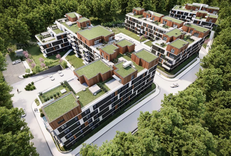 develia zdjęcie nr 4